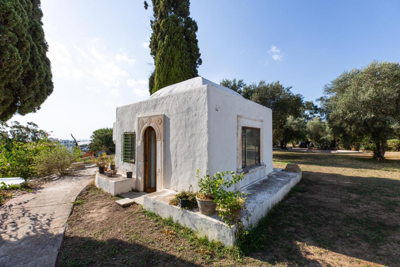 Lella Zohra, Studio Avec Piscine A Sidi Bou Said Bed and Breakfast Esterno foto