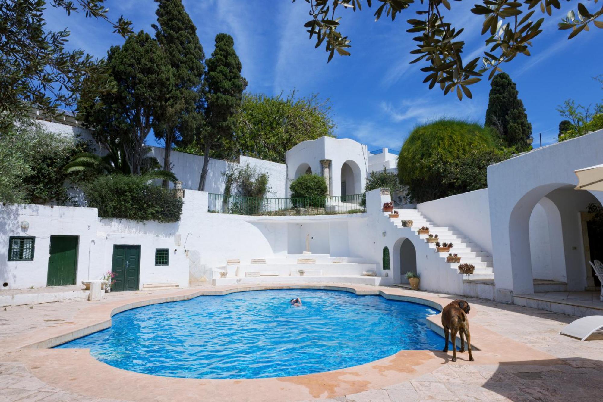 Lella Zohra, Studio Avec Piscine A Sidi Bou Said Bed and Breakfast Esterno foto