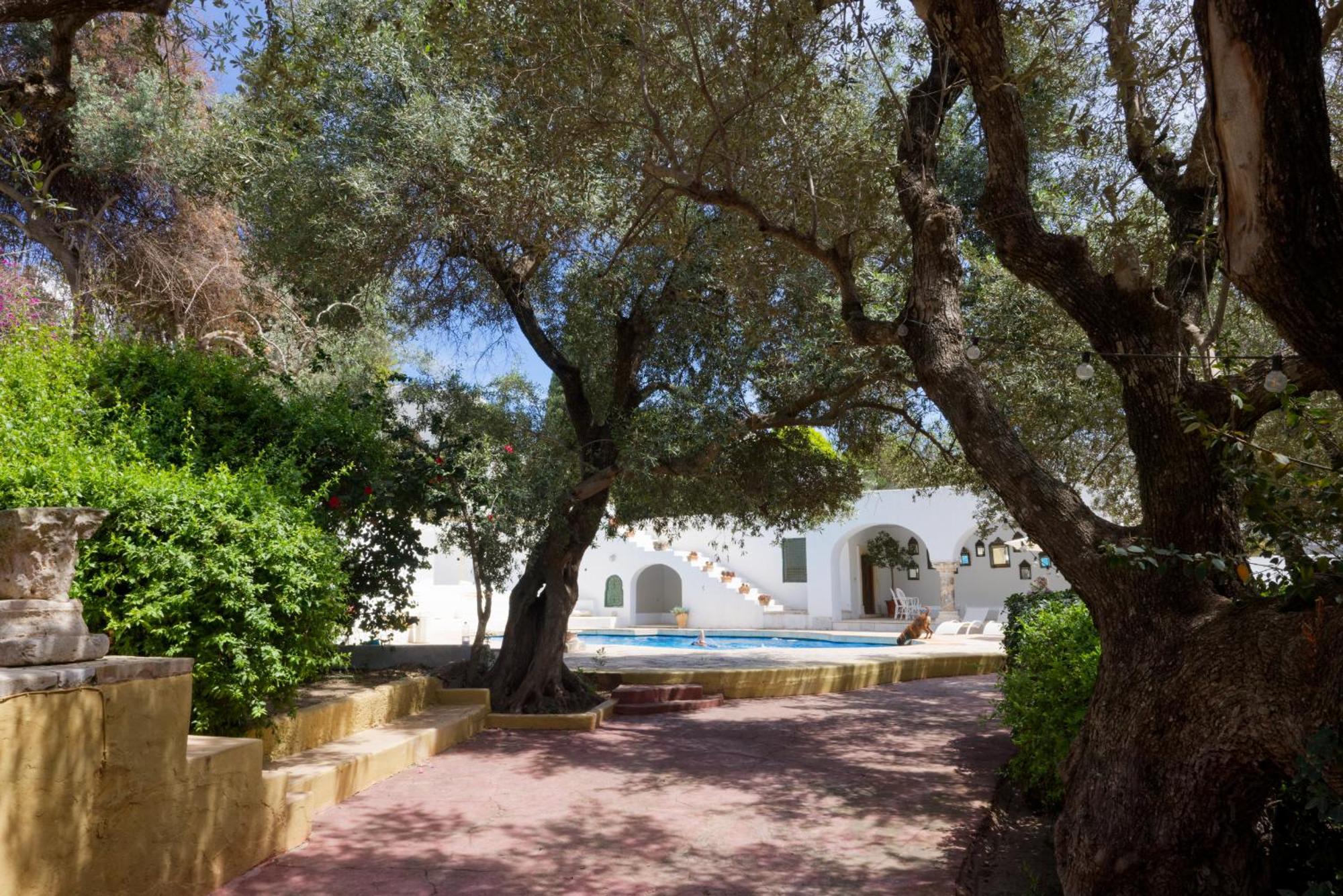 Lella Zohra, Studio Avec Piscine A Sidi Bou Said Bed and Breakfast Esterno foto